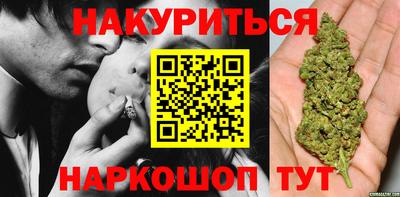a pvp Гатчина