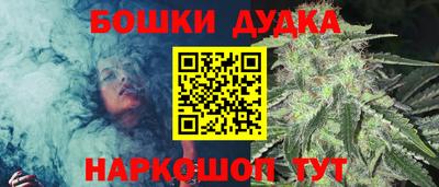 ешки Гай