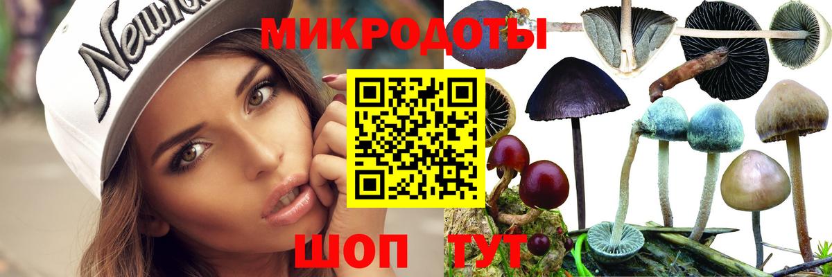 Галлюциногенные грибы прущие грибы Великий Устюг