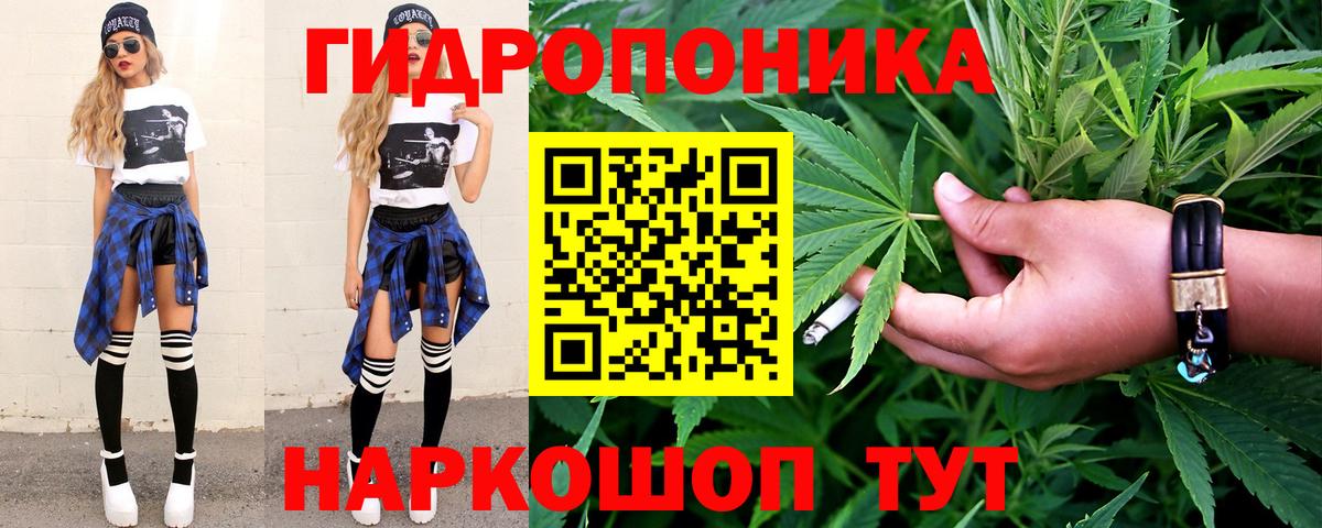 Бошки марихуана план  Каннабис сатива  Великий Устюг  Бошки Шишки планчик  Вход с VPN 